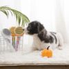 Cepillo para mascotas